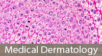 wart removal clinics hong kong Apex Dermatology Institute ( Four Dermatologists in TST)