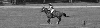 horseback riding lessons hong kong Lo Wu Saddle Club