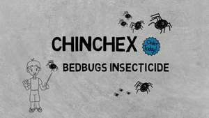 pest control bedbugs hong kong Chinchex 千赤士床蝨滅蟲劑