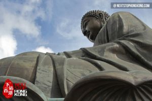 free walking tour hong kong NextStopHongKong Private Walking Tour