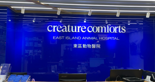 veterinarians hong kong Creature Comforts Cat Hospital 將軍澳貓醫院