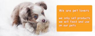 dog clothing stores hong kong Wise Pet