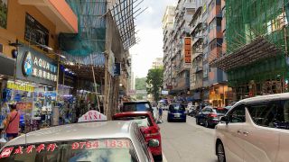 parrot stores hong kong Goldfish Market