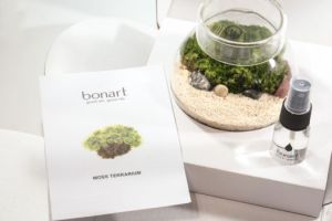 bonsai classes hong kong Bonart