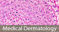 rash specialists hong kong Apex Dermatology Institute ( Four Dermatologists in TST)