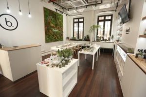 bonsai classes hong kong Bonart