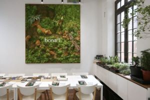 bonsai classes hong kong Bonart