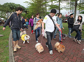 Penfold Park is one of the few pet-friendly parks in Hong Kong making it a popular “pets paradise”.