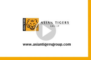 movings hong kong Asian Tigers (International Moving and Relocation) - Hong Kong