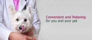 veterinary courses hong kong Homevet Pet Housecall Service